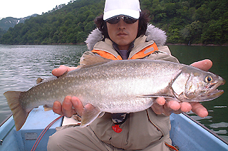 2006.06.11 岩魚釣行