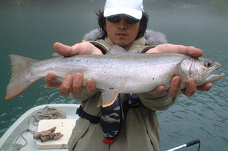48cmの武尊岩魚