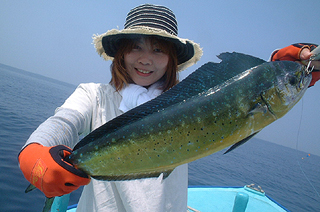 2008.08.11 館山シイラ釣行